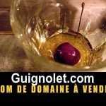 Guignolet nom de domaine à vendre, domaine name for sale, visit Guignolet.com